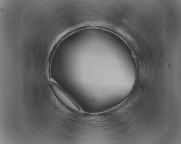 X0000065251272200603031754