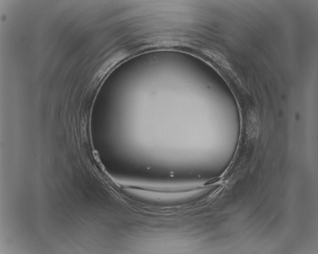 X0000065251273200603031754