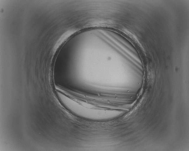 X0000065251277200603031754