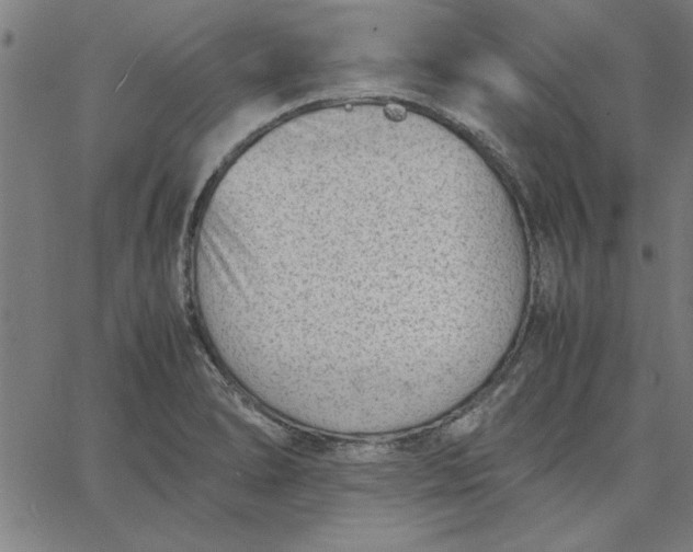 X0000065251278200603031754