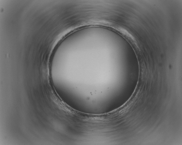 X0000065251280200603031754