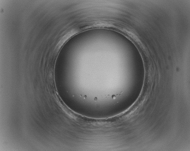 X0000065251281200603031754