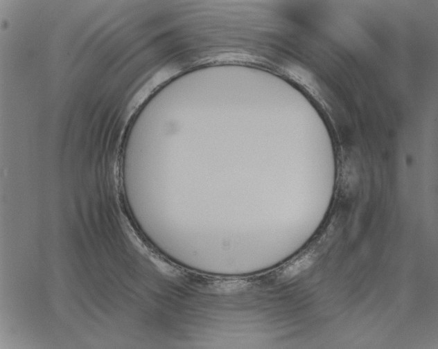 X0000065251282200603031754