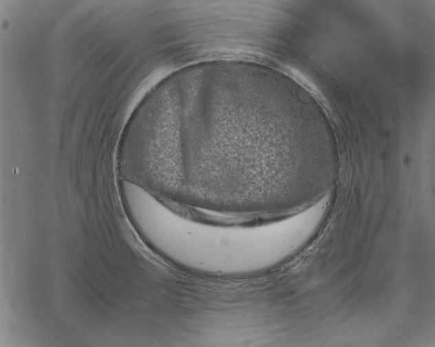 X0000065251283200603031754