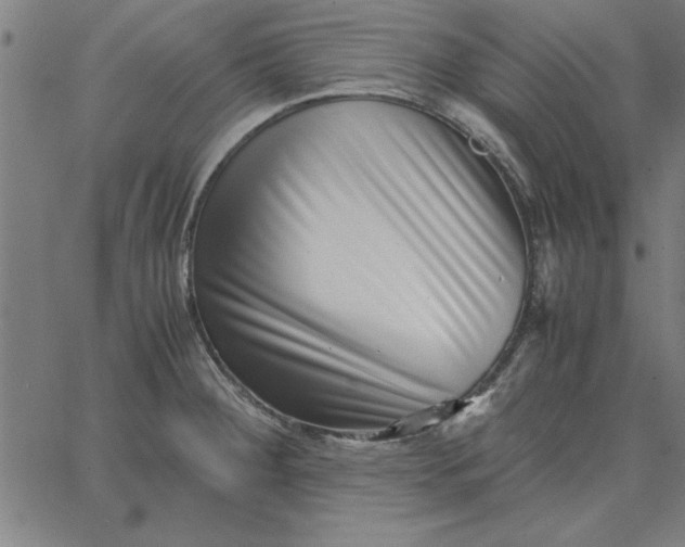 X0000065251284200603031754