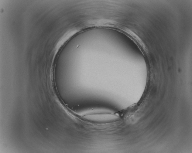 X0000065251285200603031754