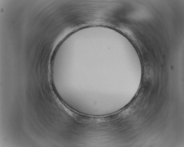 X0000065251286200603031754