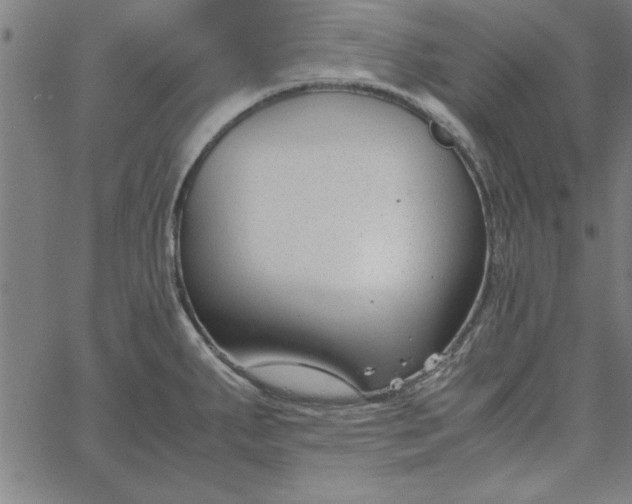 X0000065251287200603031754