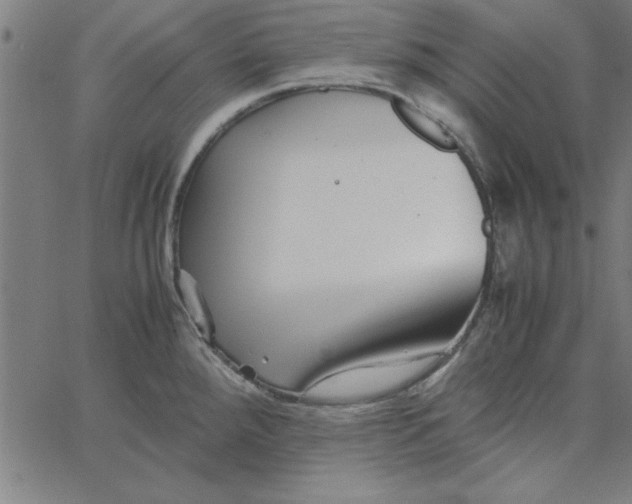 X0000065251288200603031754