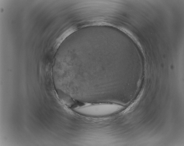 X0000065251289200603031754