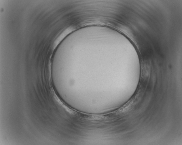 X0000065251290200603031754