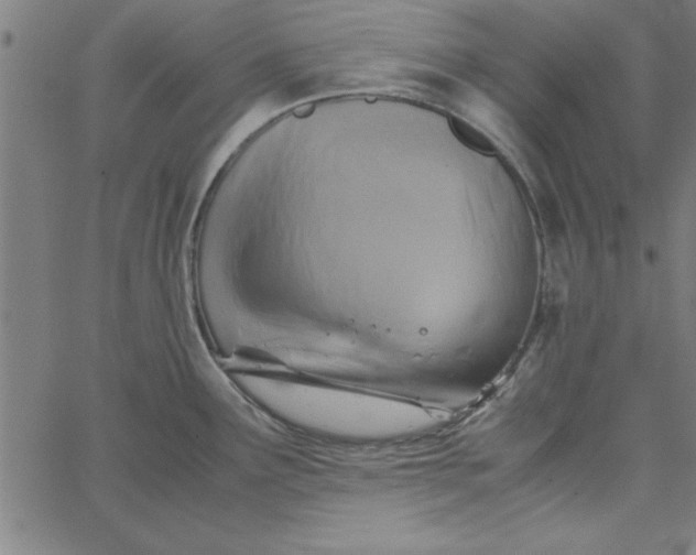 X0000065251291200603031754