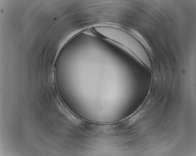 X0000065251292200603031754