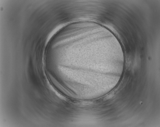 X0000065251294200603031754