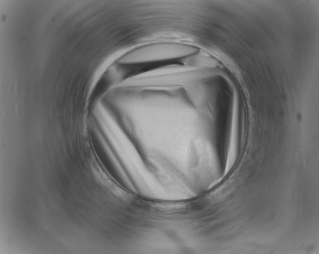 X0000065251296200603031754