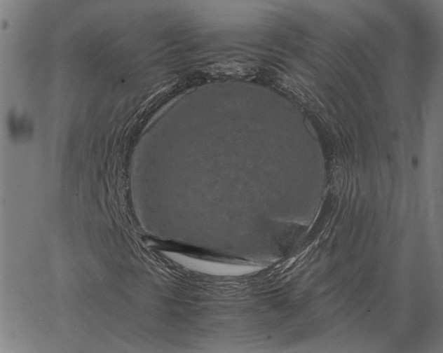 X0000065251297200603031753