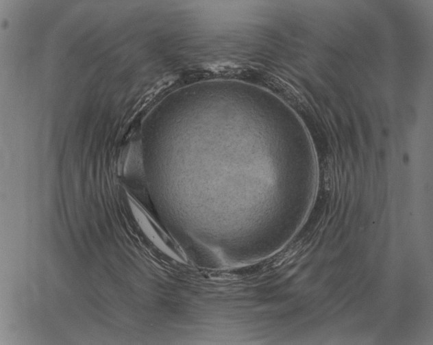 X0000065251298200603031753