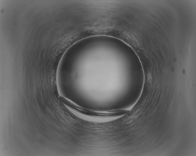 X0000065251300200603031753