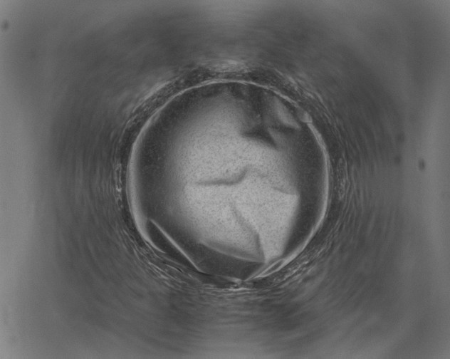 X0000065251301200603031753