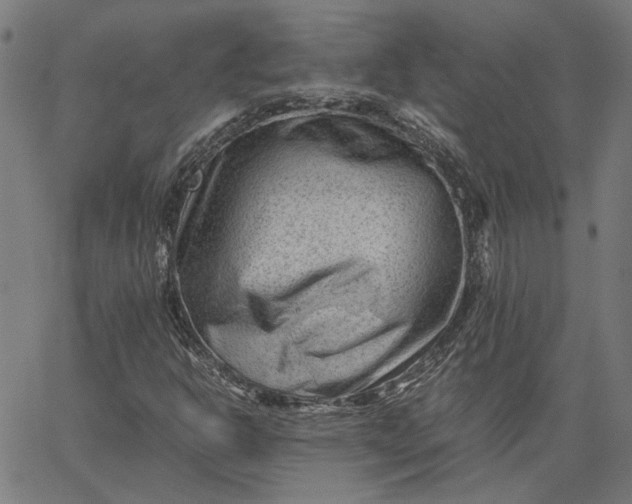 X0000065251302200603031753