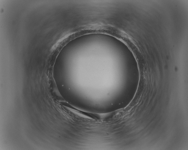 X0000065251304200603031753