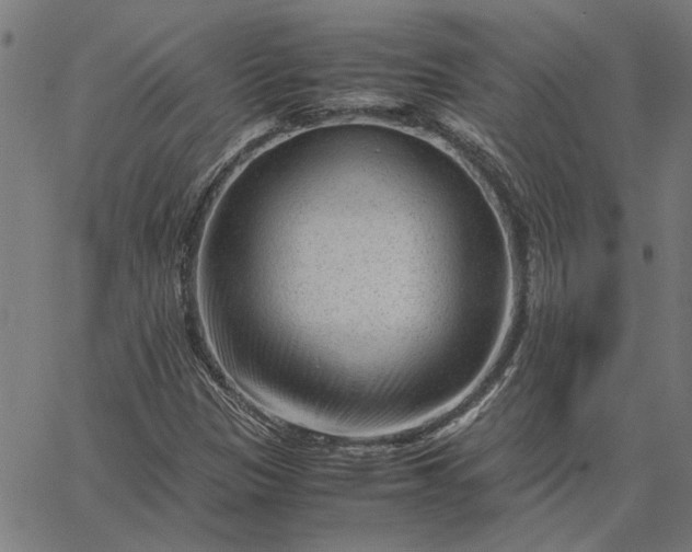 X0000065251305200603031753