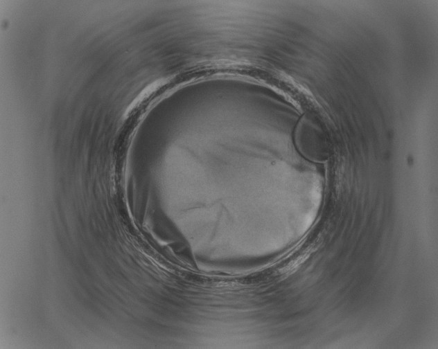 X0000065251306200603031753