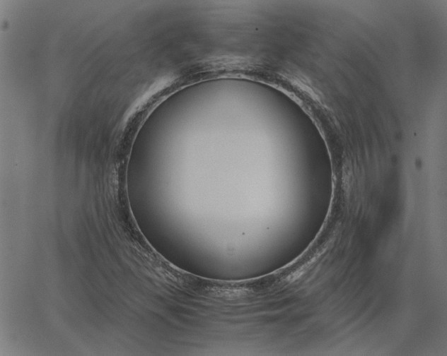 X0000065251309200603031753