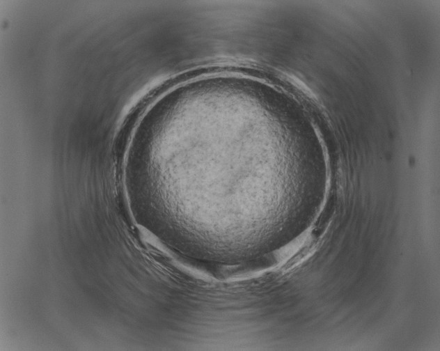 X0000065251310200603031753