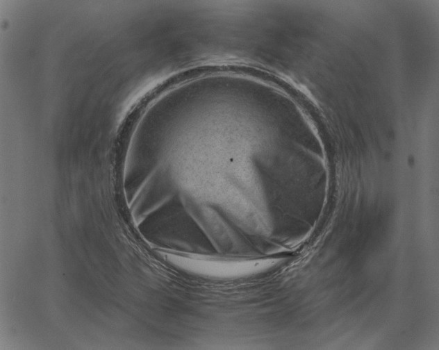 X0000065251311200603031753