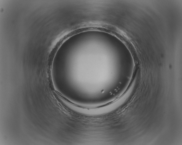 X0000065251312200603031753