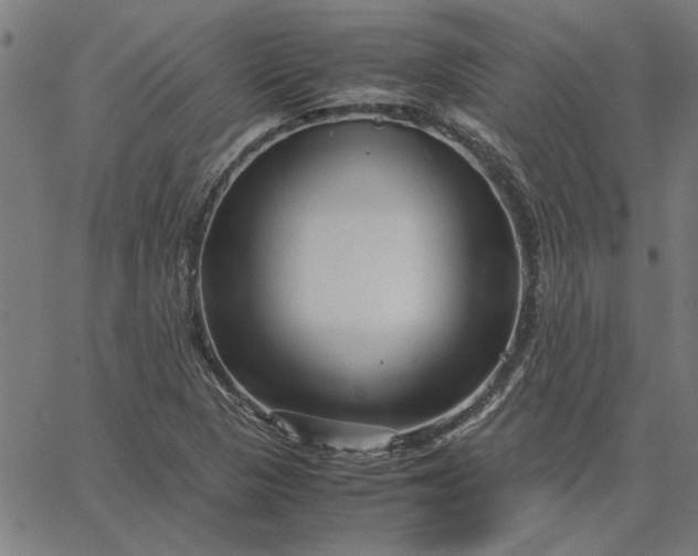 X0000065251313200603031753