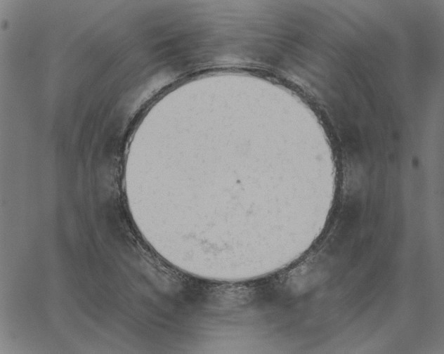 X0000065251314200603031753