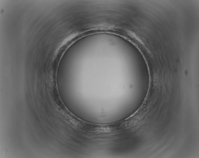 X0000065251315200603031753