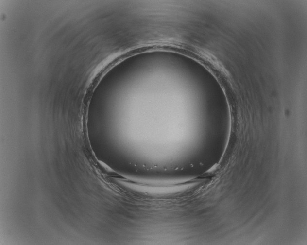 X0000065251316200603031753