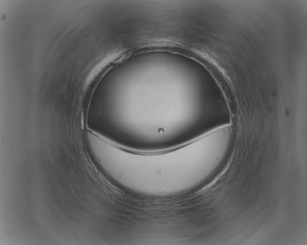 X0000065251317200603031754