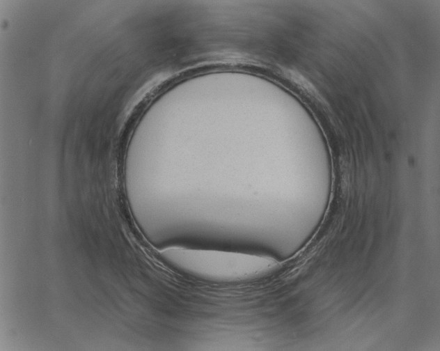 X0000065251318200603031754