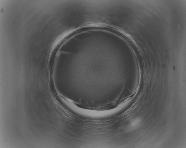 X0000065251319200603031754