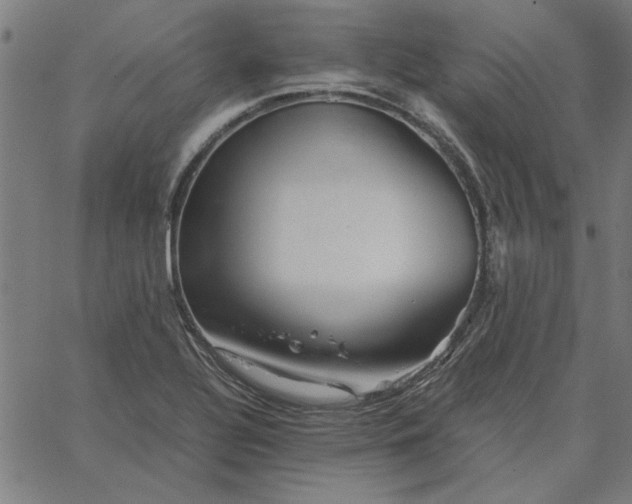 X0000065251320200603031754