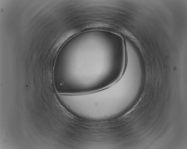 X0000065251321200603031754