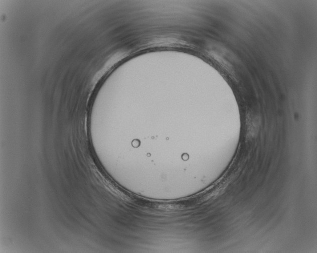 X0000065251322200603031754