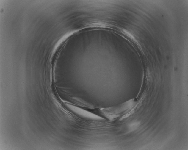 X0000065251323200603031754