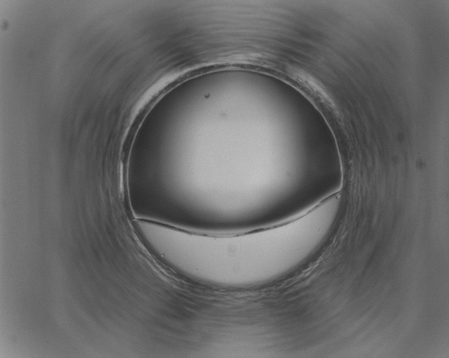 X0000065251324200603031754