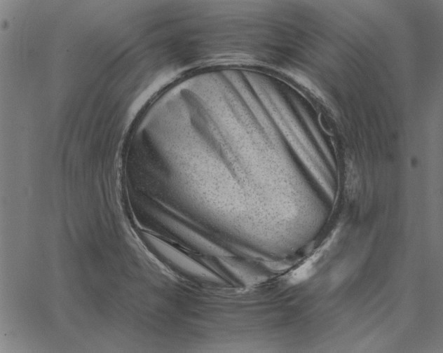 X0000065251325200603031754