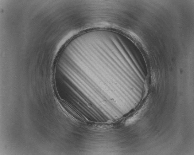 X0000065251326200603031754