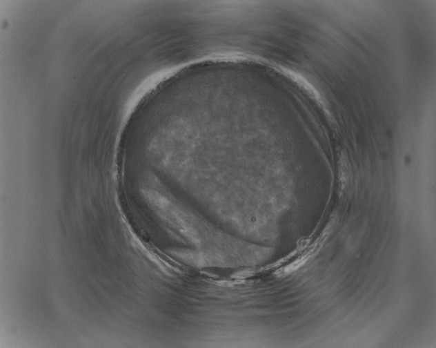 X0000065251327200603031754