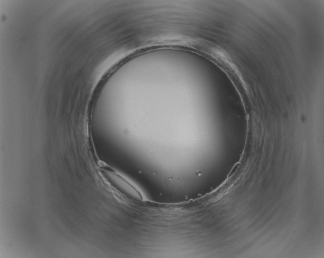 X0000065251328200603031754