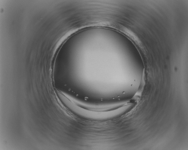 X0000065251332200603031754