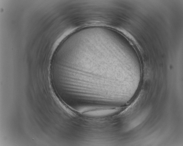 X0000065251333200603031754