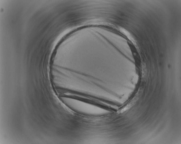 X0000065251334200603031754